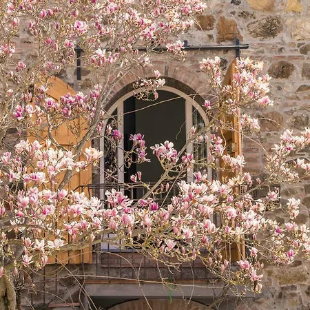 La Magnolia-2